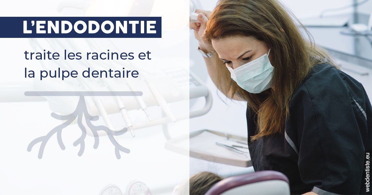 https://dr-aurelie-gonzalez.chirurgiens-dentistes.fr/L'endodontie 1