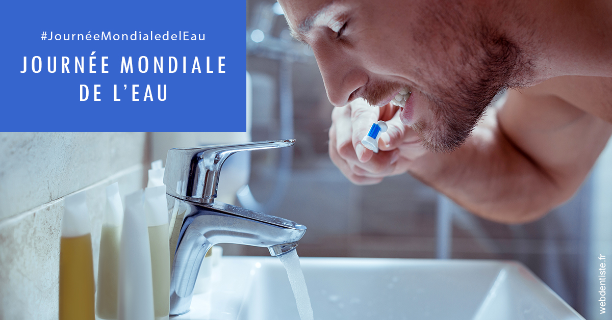 https://dr-aurelie-gonzalez.chirurgiens-dentistes.fr/Journée de l'eau 2