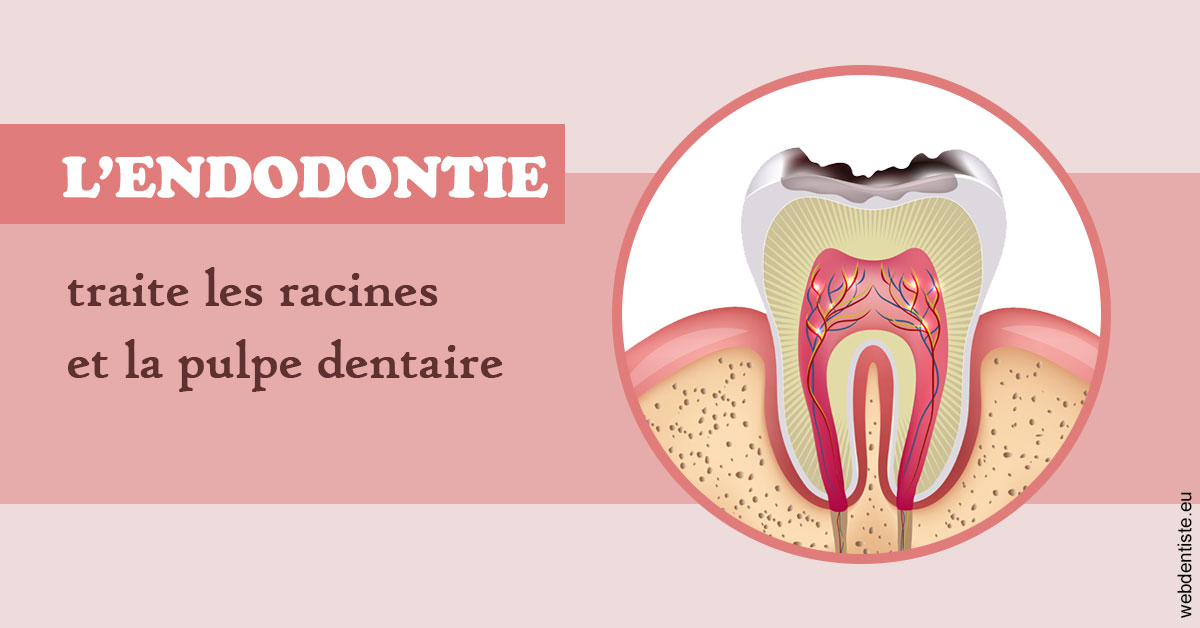 https://dr-aurelie-gonzalez.chirurgiens-dentistes.fr/L'endodontie 2