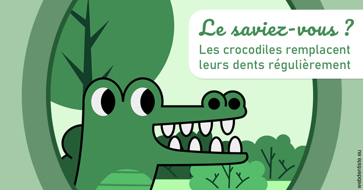 https://dr-aurelie-gonzalez.chirurgiens-dentistes.fr/Crocodiles 2