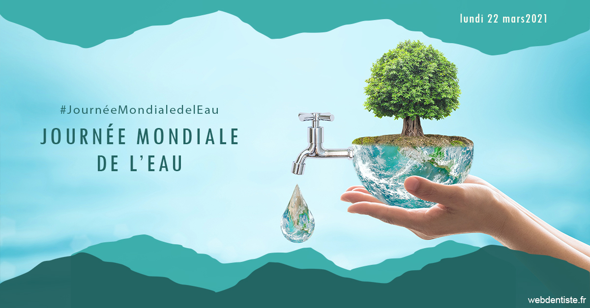 https://dr-aurelie-gonzalez.chirurgiens-dentistes.fr/Journée de l'eau 1