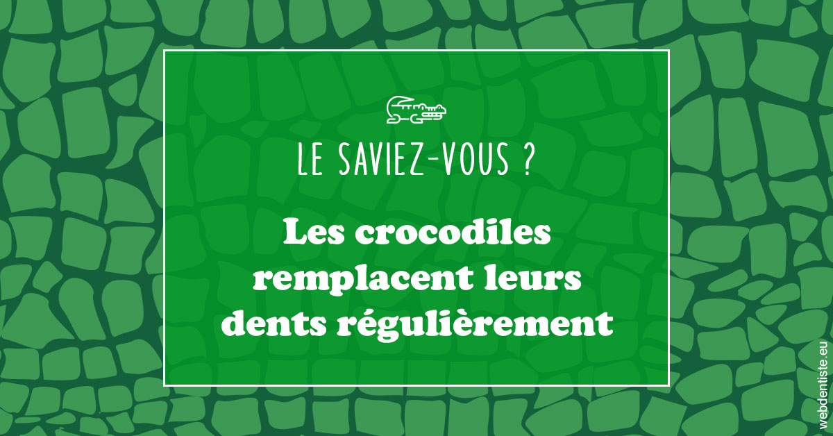https://dr-aurelie-gonzalez.chirurgiens-dentistes.fr/Crocodiles 1